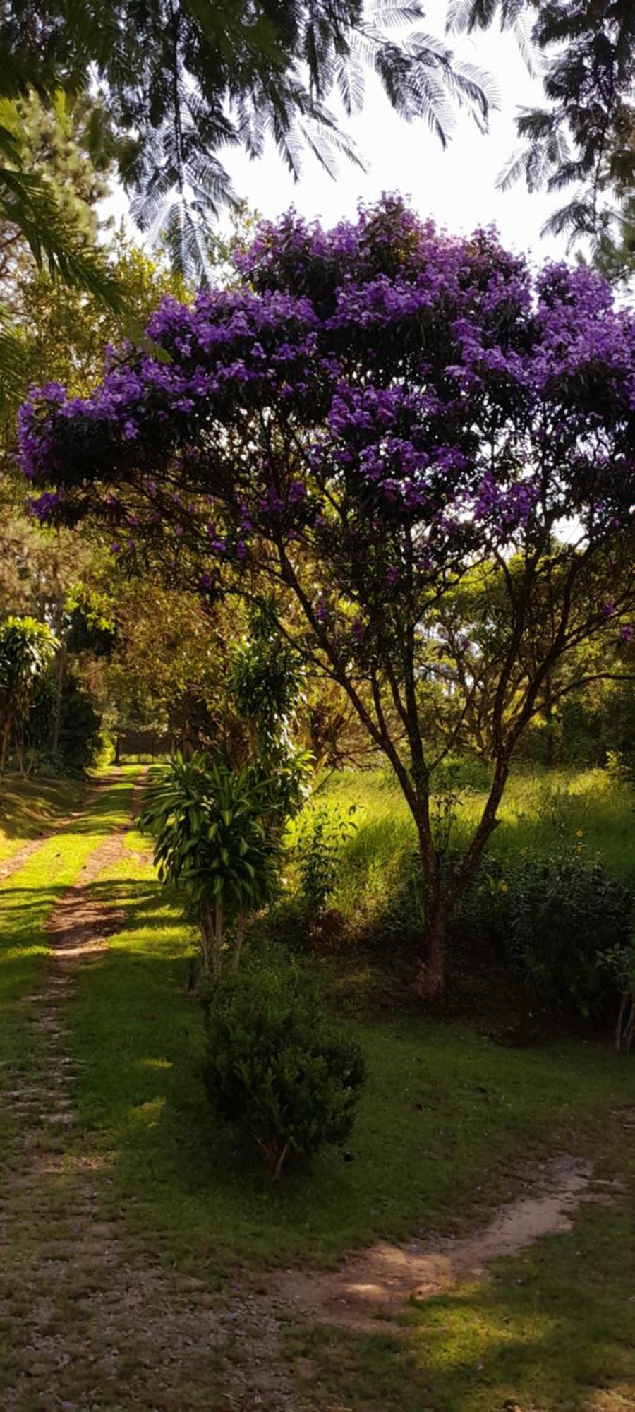 Sitio Gacied Villa Suzano Buitenkant foto